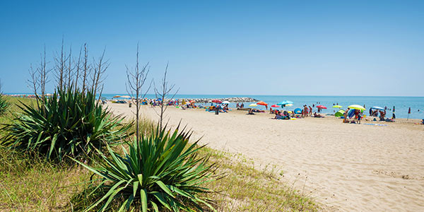 Dolce vita sur la plage