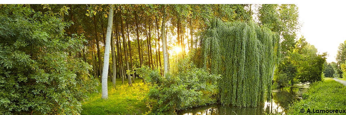 Histoire du Marais-Poitevin