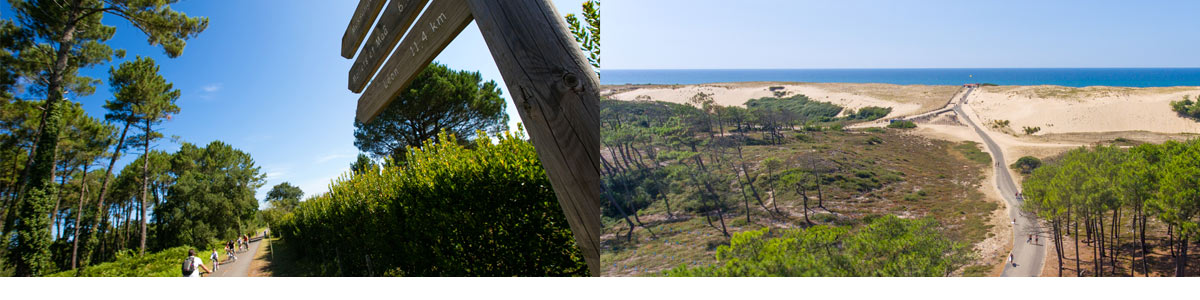 ACTIVITES DANS LES LANDES