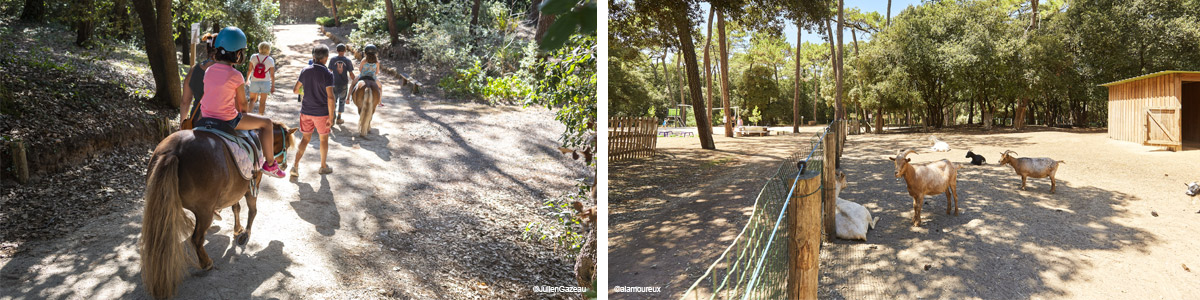 Jardin et parcs naturels à la Tranche-sur-Mer