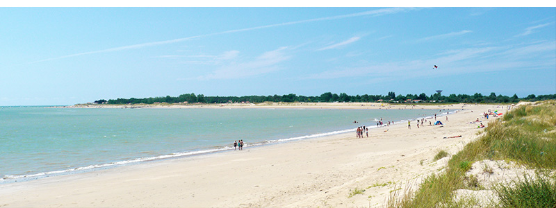 Un été ensoleillé