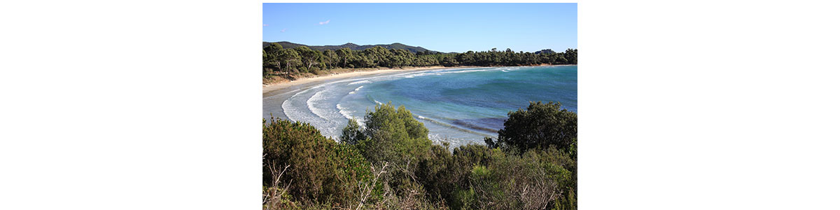 Plage du Pellegrin – La Londe les Maures