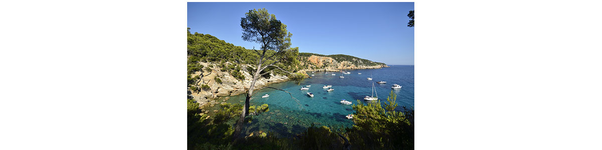 Plage Notre-Dame – Porquerolles