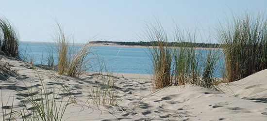 CAMPING À LA TREMBLADE EN CHARENTE-MARITIME