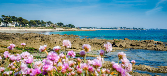 Camping animé à Carnac