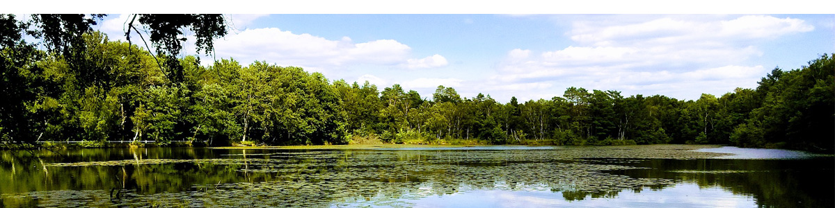 La Sologne et ses paysages naturels