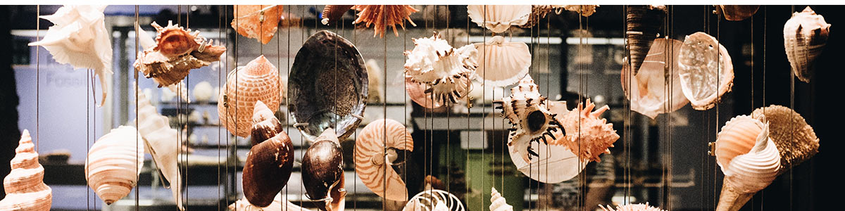 Des éléments naturels