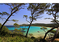 L’île de Porquerolles - randonnée et nature