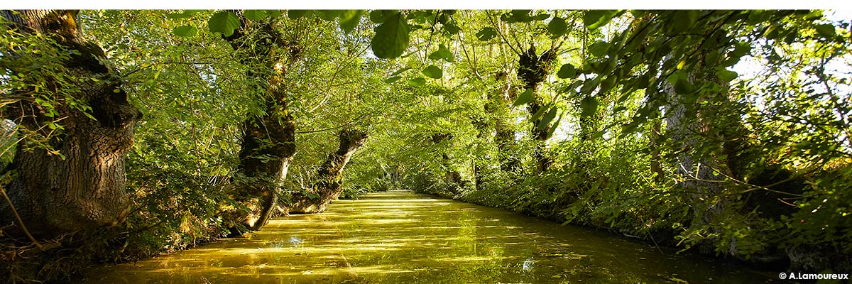 Le Marais-Poitevin ; qu’est-ce que c’est ?
