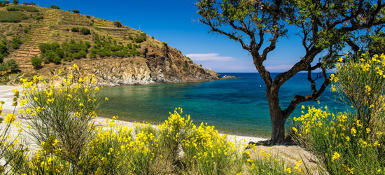 Camping familial au pied des pyrénées